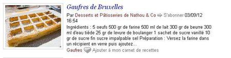 Une petite liste de plagiaires sur le net ... gauffres2