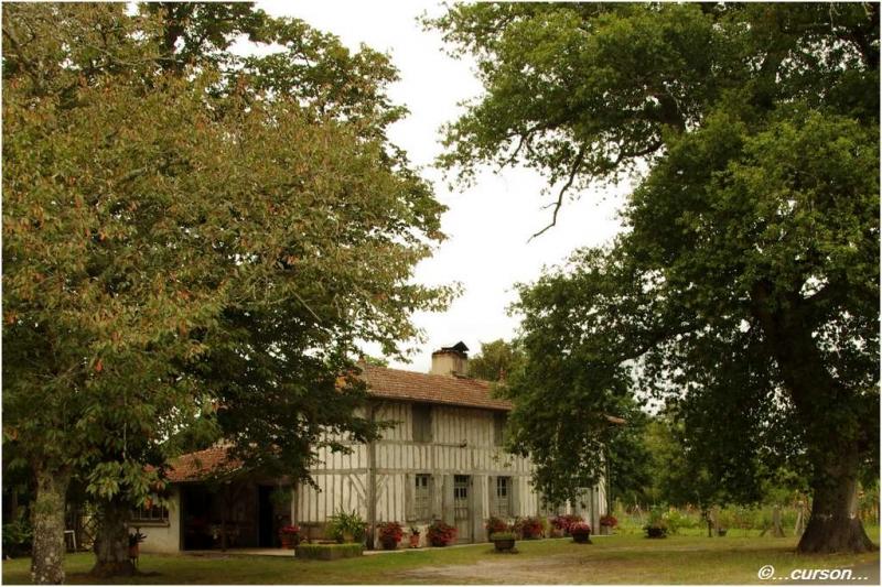 Maison Landaise maison landaise1.JPG