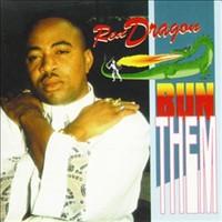 Retour sur l'époque glorieuse du dancehall ... mais qu'en est-il aujourd'hui? Retour sur l'époque glorieuse du dancehall ... mais qu'en est-il aujourd'hui?