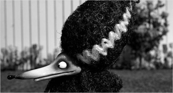Frankenweenie - 7 Frankenweenie - 7