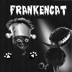 Frankencat Frankencat