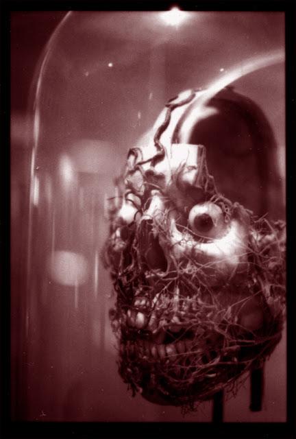 Gabrielle Wittkop, Les départs exemplaires Gabrielle Wittkop, Les départs exemplaires