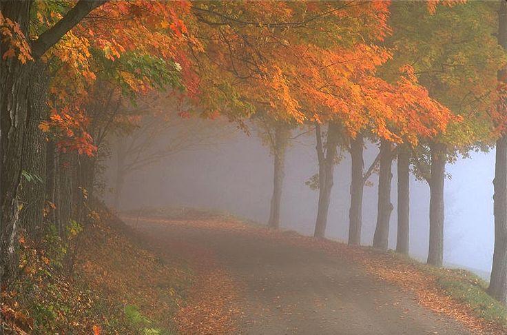 Brume d’automne Brume d’automne