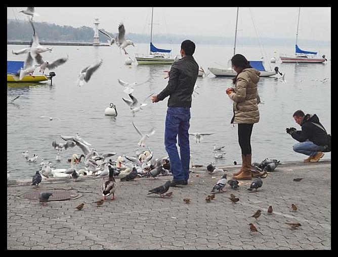 La photo du jour: partage! Sans titre-1.jpg