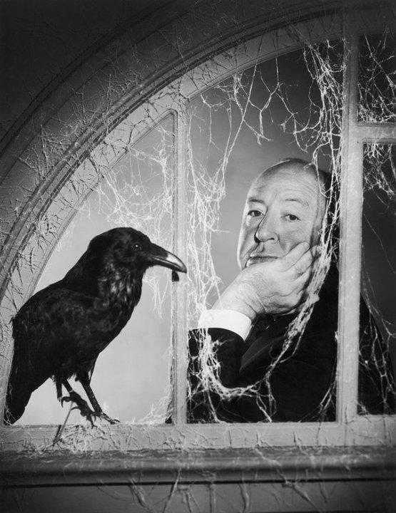 Hitchcock and the birds