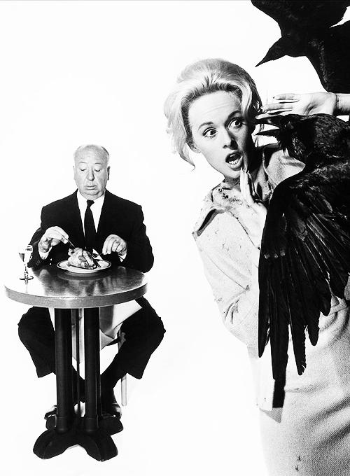 Hitchcock and the birds