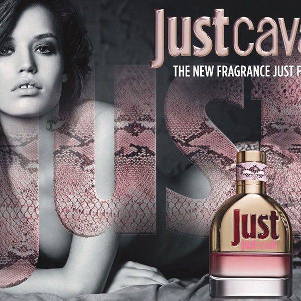 Just, le dernier bébé de Just Cavalli