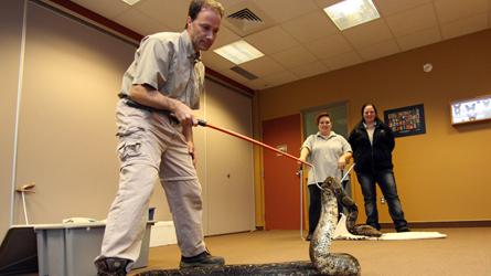 Société protectrice des animaux Formation au zoo de Granby: comment capturer un serpent?