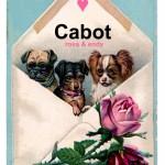 Welcome on Cabot ♥