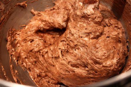 Gâteau léger au chocolat (sans beurre) IMG_2566r