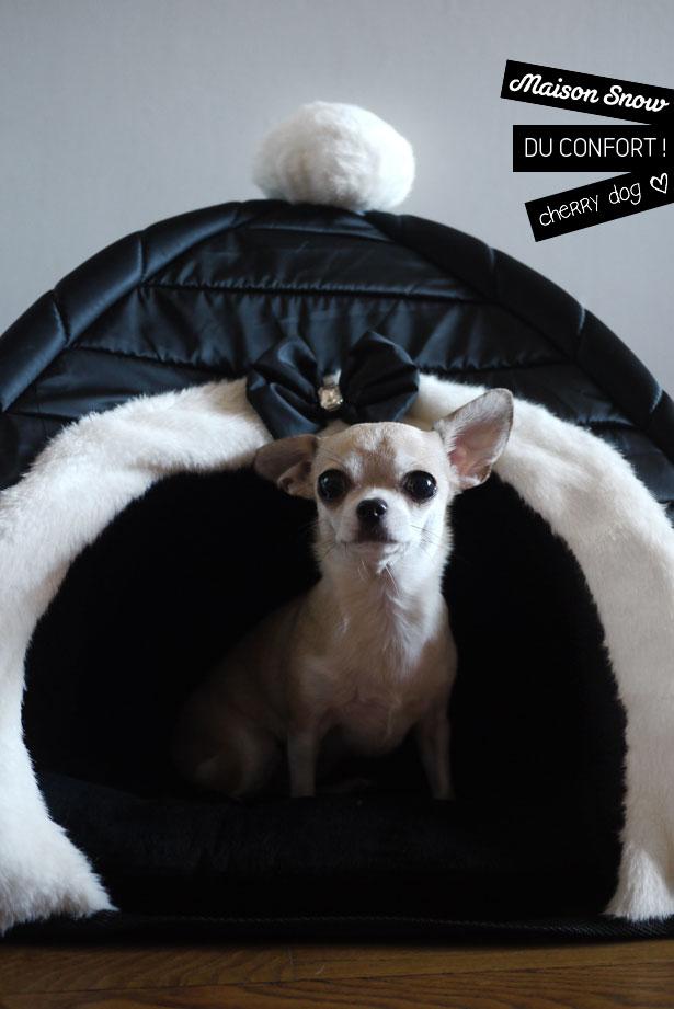 Maison dĂ´me pour chiens sur Cherry Dog Du confort ? Encore !