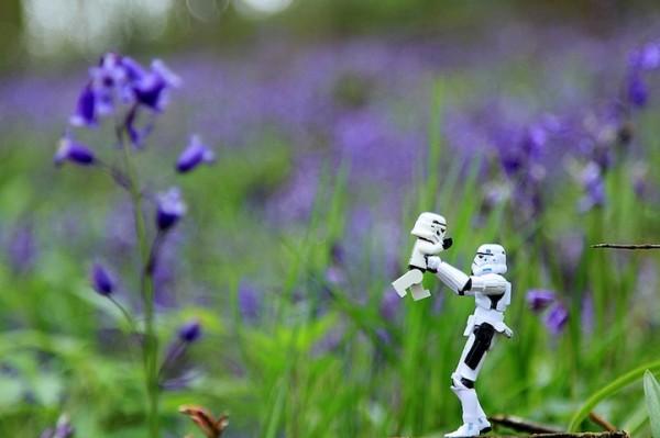 andywellsstormtroopers12 Sculptures du Mois n°7
