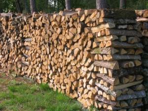 Le bois, moyen de plus en plus economique pour se chauffer