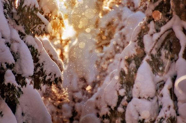 16 Le fantastique Mikko Lagerstedt