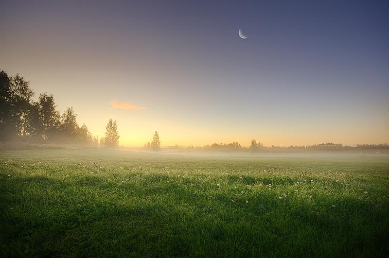 6 Le fantastique Mikko Lagerstedt