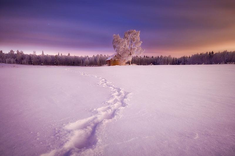 9 Le fantastique Mikko Lagerstedt