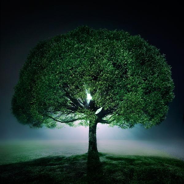 17 Le fantastique Mikko Lagerstedt