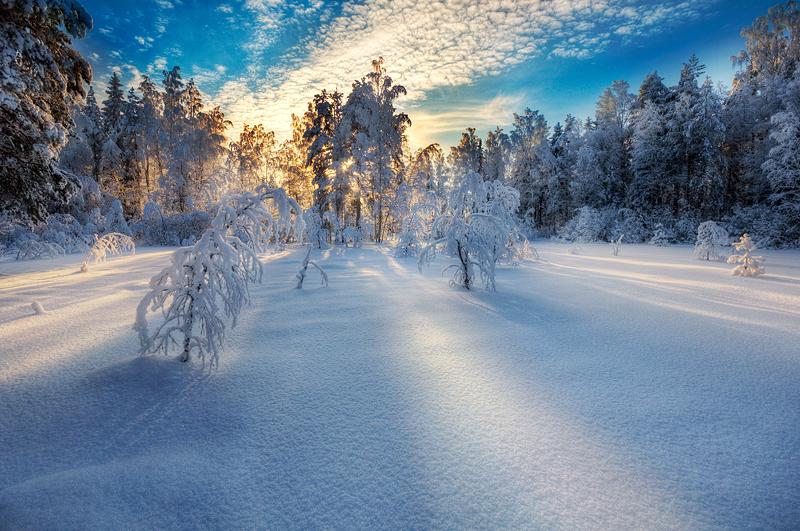 10 Le fantastique Mikko Lagerstedt