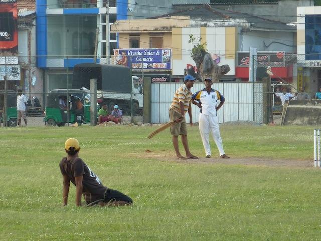 Le cricket, LE sport national du Sri Lanka !