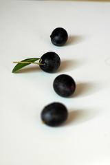 olives-flickr-yoshiko314.jpg