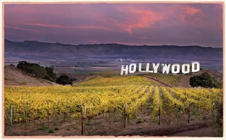 Les vins de stars les stars font du vin
