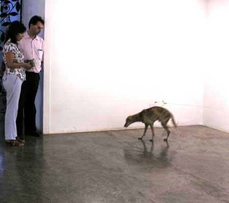 Quand la réalité dépasse presque la fiction chienmourant3