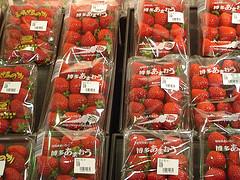 strawberrries.jpg