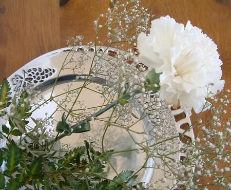 Une fleur vous parle DSCF0009