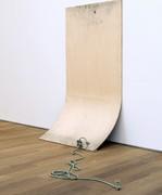 Guillaume Leblon, Site of confluence, 2009 GUILLAUME LEBLON Une appropriation de la nature au MRAC de Sérignan