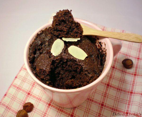chocolate mug cake sans gluten sans oeuf 2edited
