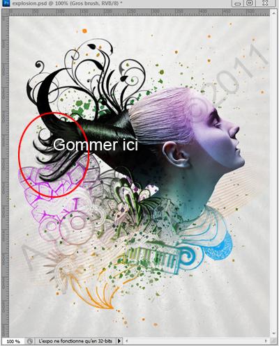 006 Mixed-media « Explosion »