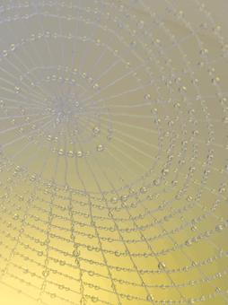 Maison Moschino : un hôtel showroom féérique... où tout est à vendre ! Maison Moschino : un hôtel showroom féérique... où tout est à vendre !