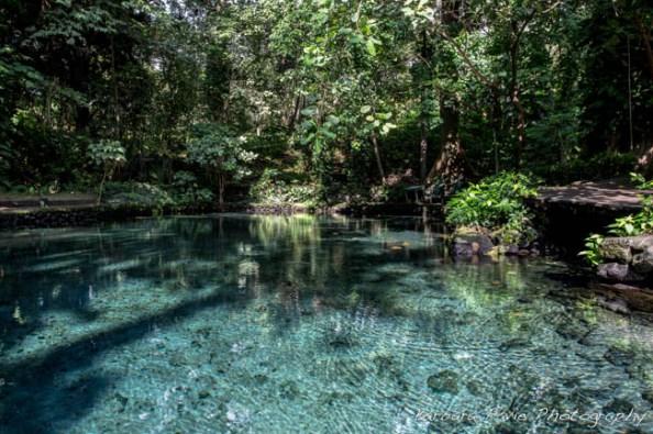 El Ojo del Agua, piscine naturelle, île d'Ometepe - Nicaragua Le Nicaragua en 10 photos