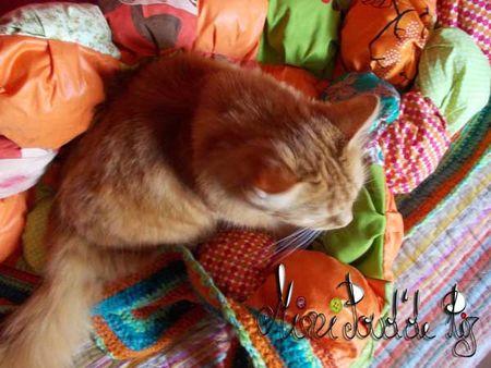 Encore un ! DSCN0800