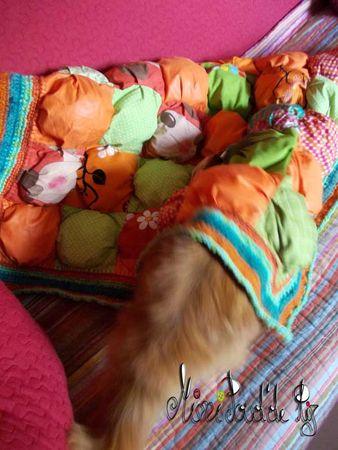 Encore un ! DSCN0796