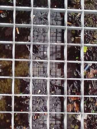 balade.jpg, nov. 2012 balade.jpg