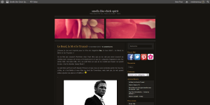 Smells like Chick Spirit TFSA – Les blogs/sites sur les séries préférés