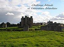 Du côté de Canaan - Sebastian Barry logo-1