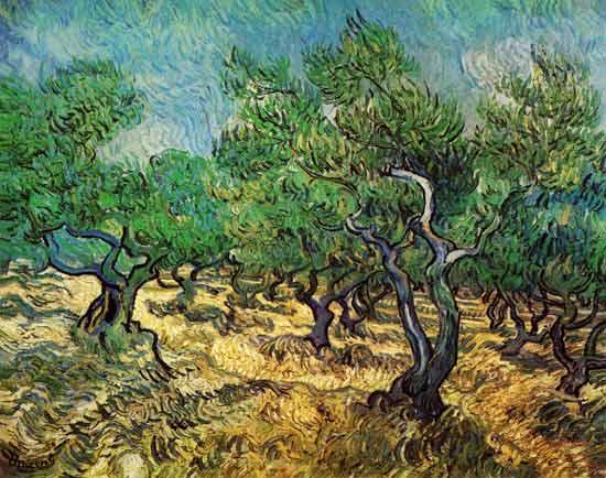 Van Gogh,Oliveraie(en ce moment à la Pinacothèque) Van Gogh,Oliveraie(en ce moment à la Pinacothèque)