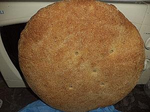 Poulet aux gombos et aux tomates DSC00731.JPG