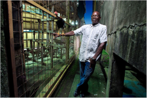 Coqueleur Martinique Le pitt, images de notre espace