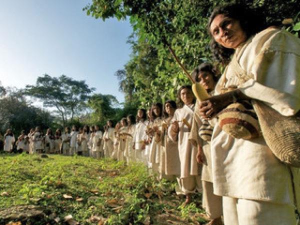 La force des Indiens KOGIS La force des Indiens KOGIS