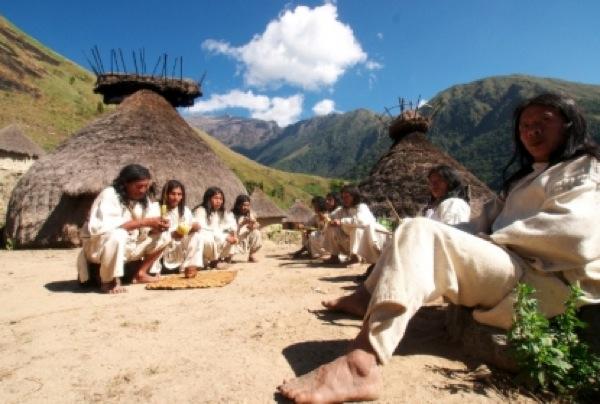 La force des Indiens KOGIS La force des Indiens KOGIS