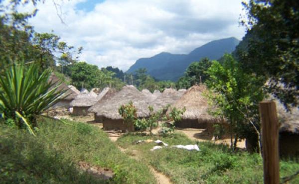 La force des Indiens KOGIS La force des Indiens KOGIS