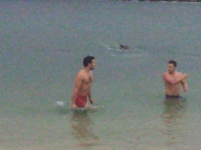 Se baigner en novembre à Toulon Se baigner en novembre à Toulon