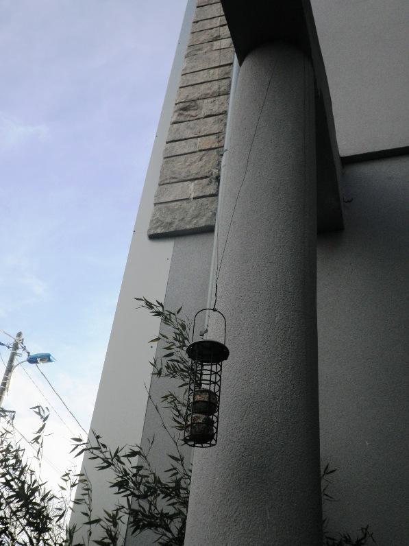 OLYMPUS DIGITAL CAMERA Un mangeoire pour les petits oiseaux