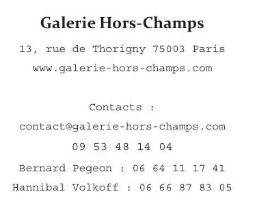 CaptureA HC Galerie Hors-Champs exposition Adoka NIITSU « Le Piaffer »