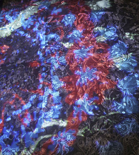 CaptureA HC1 Galerie Hors-Champs exposition Adoka NIITSU « Le Piaffer »