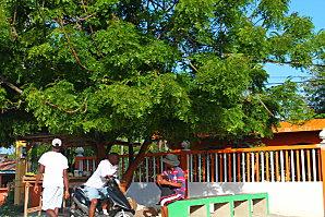 La république Dominicaine de nos Yeux vacances-2012-6981.JPG