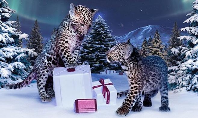 Winter Tale: Noël est de retour chez Cartier